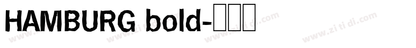 HAMBURG bold字体转换